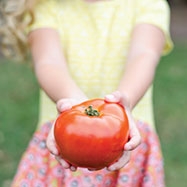 Spring 2018 Featured Vegetable Seeds Image